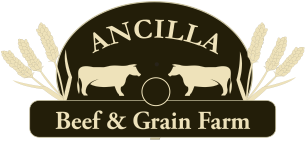 beef and grain logo